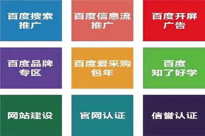 专业SEM托管助力企业快速成长案例分析